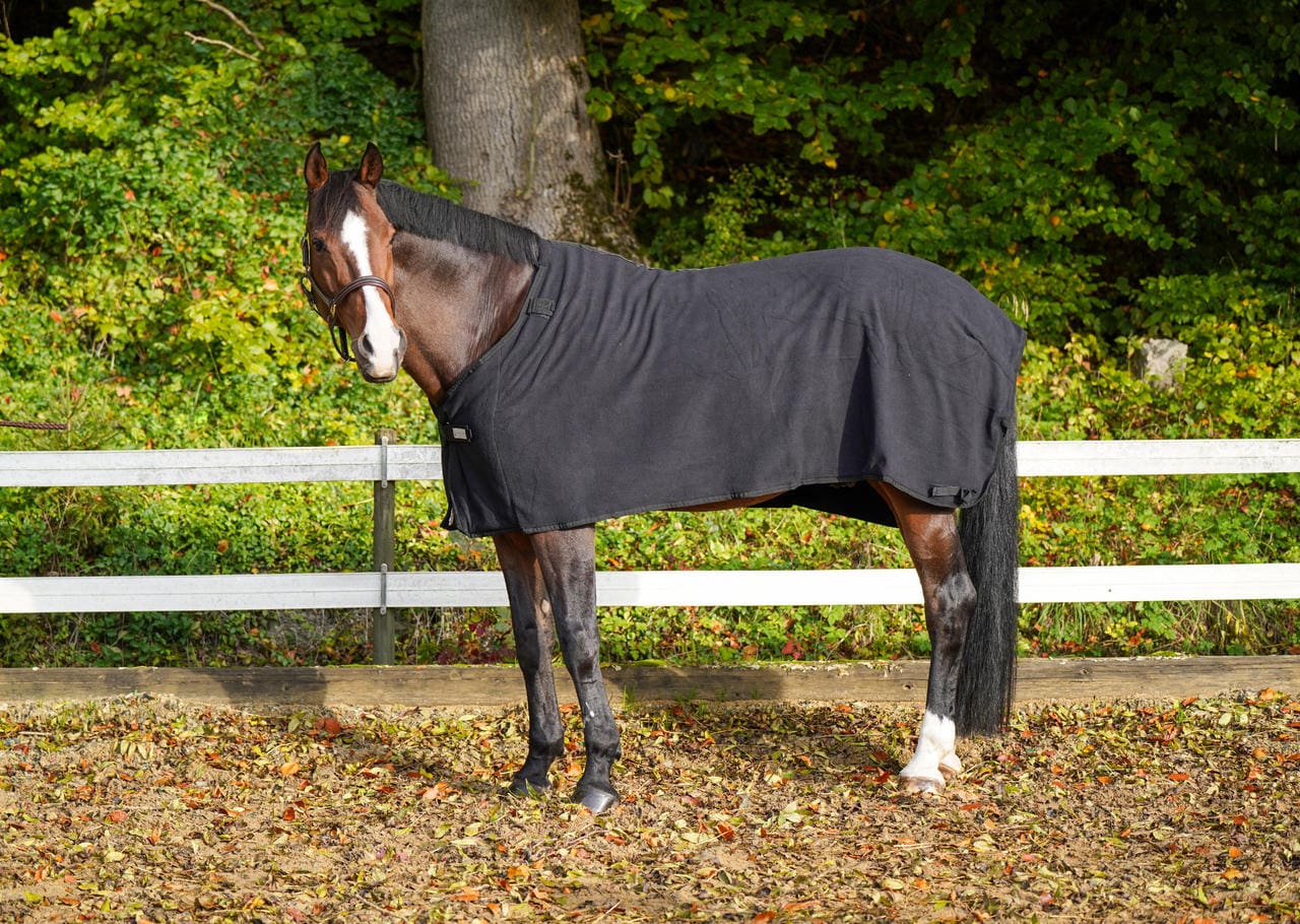 Waldhausen - Couverture D'extérieur Economic 100G Marine 155CM - Couverture Cheval Réglable