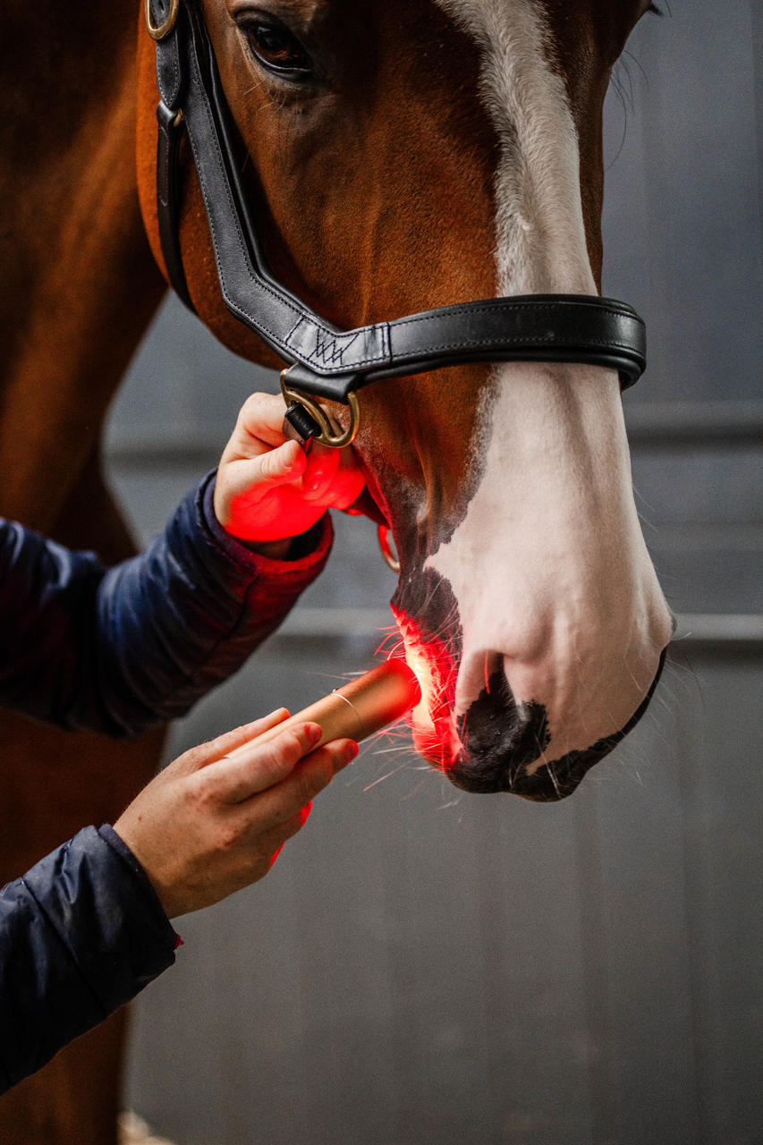 Horseware Baguette de thérapie par lumière rouge LED