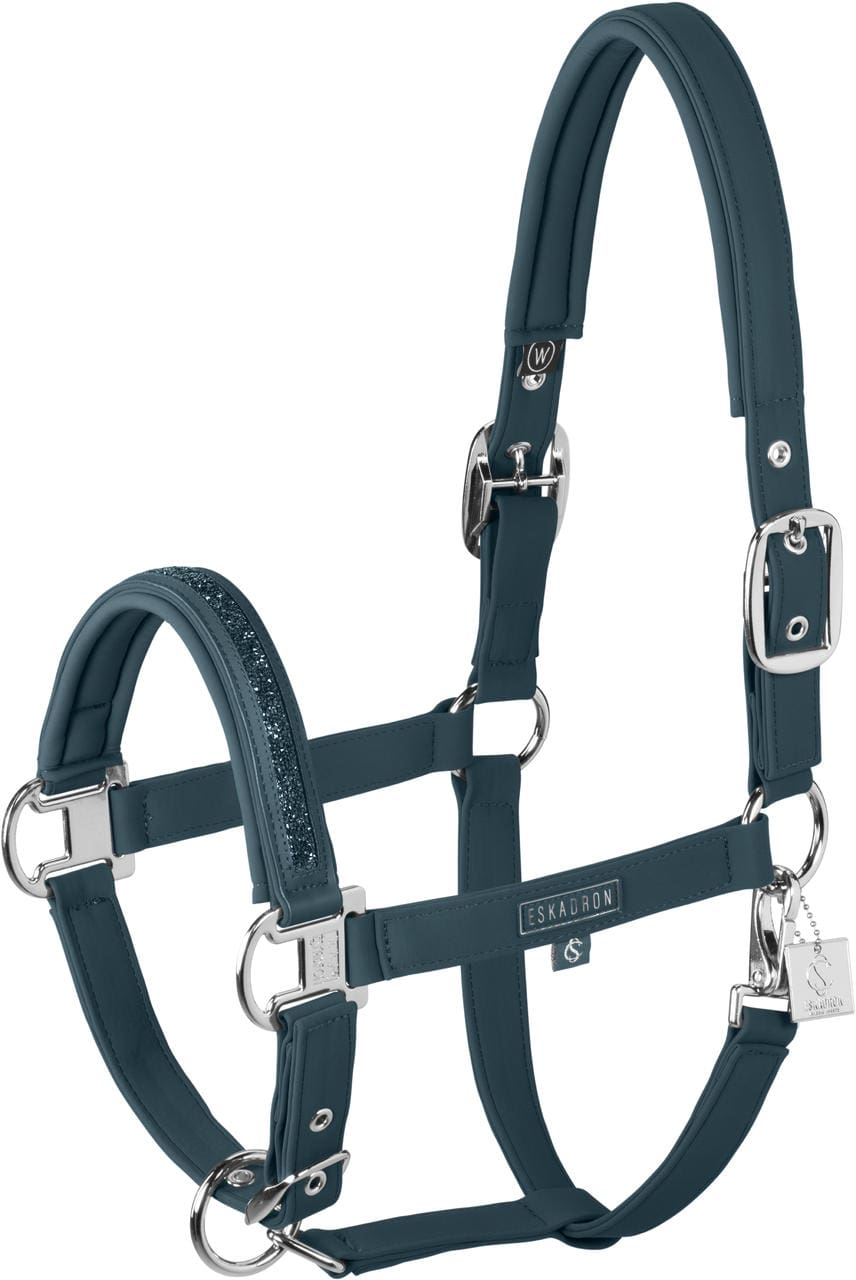 Licol Harry's Horse Initial – Turquoise, Taille COB, Réglable Avec Guide En Coton 180 Cm