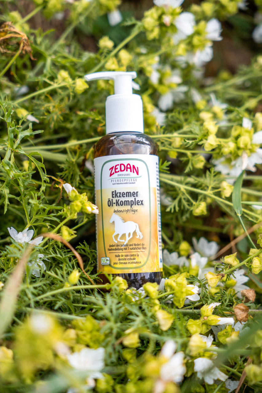 Zedan Complexe d'huile pour l'eczéma de  250ml