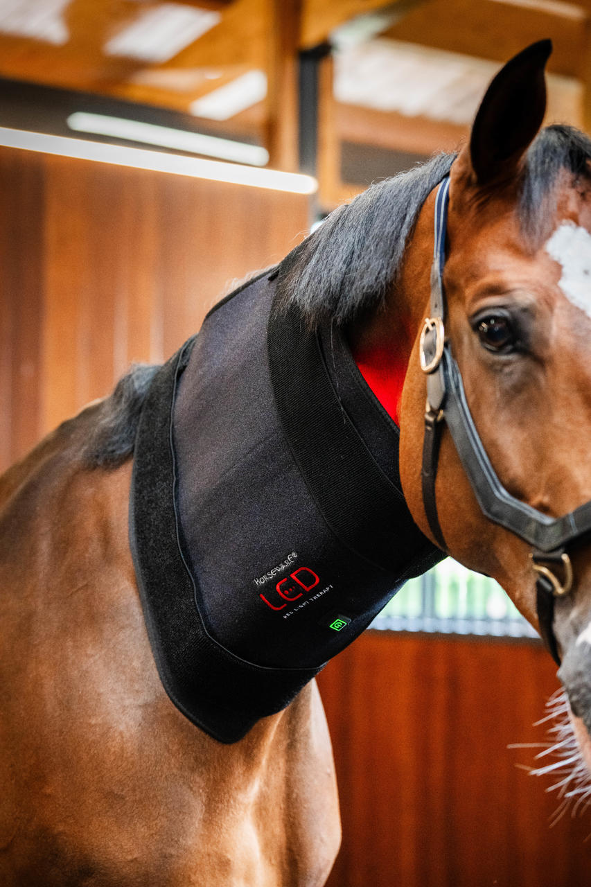 Horseware Pad de thérapie par lumière rouge LED
