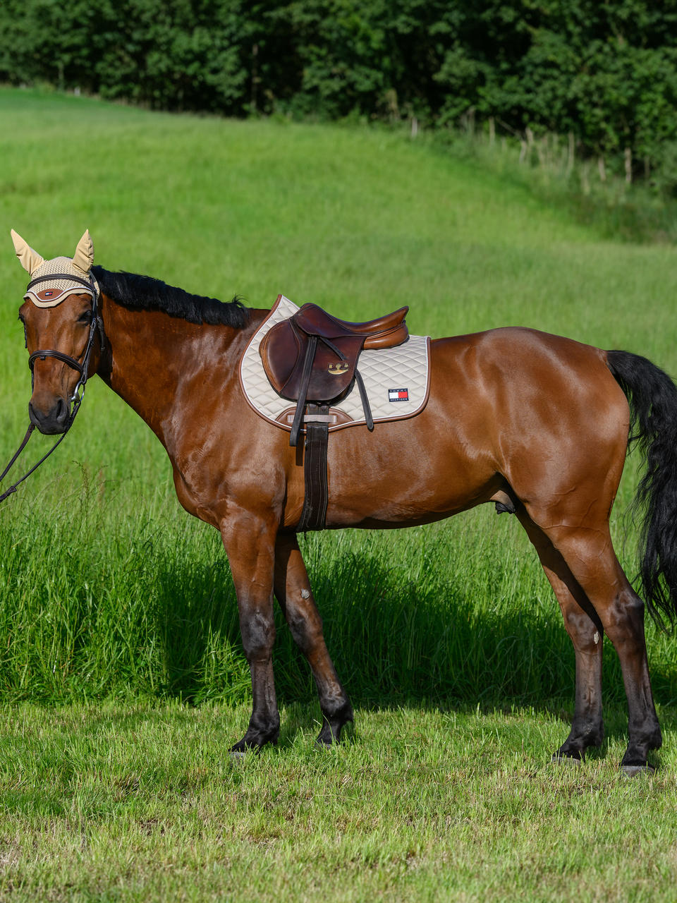 Tommy Hilfiger Tapis de selle Princeton