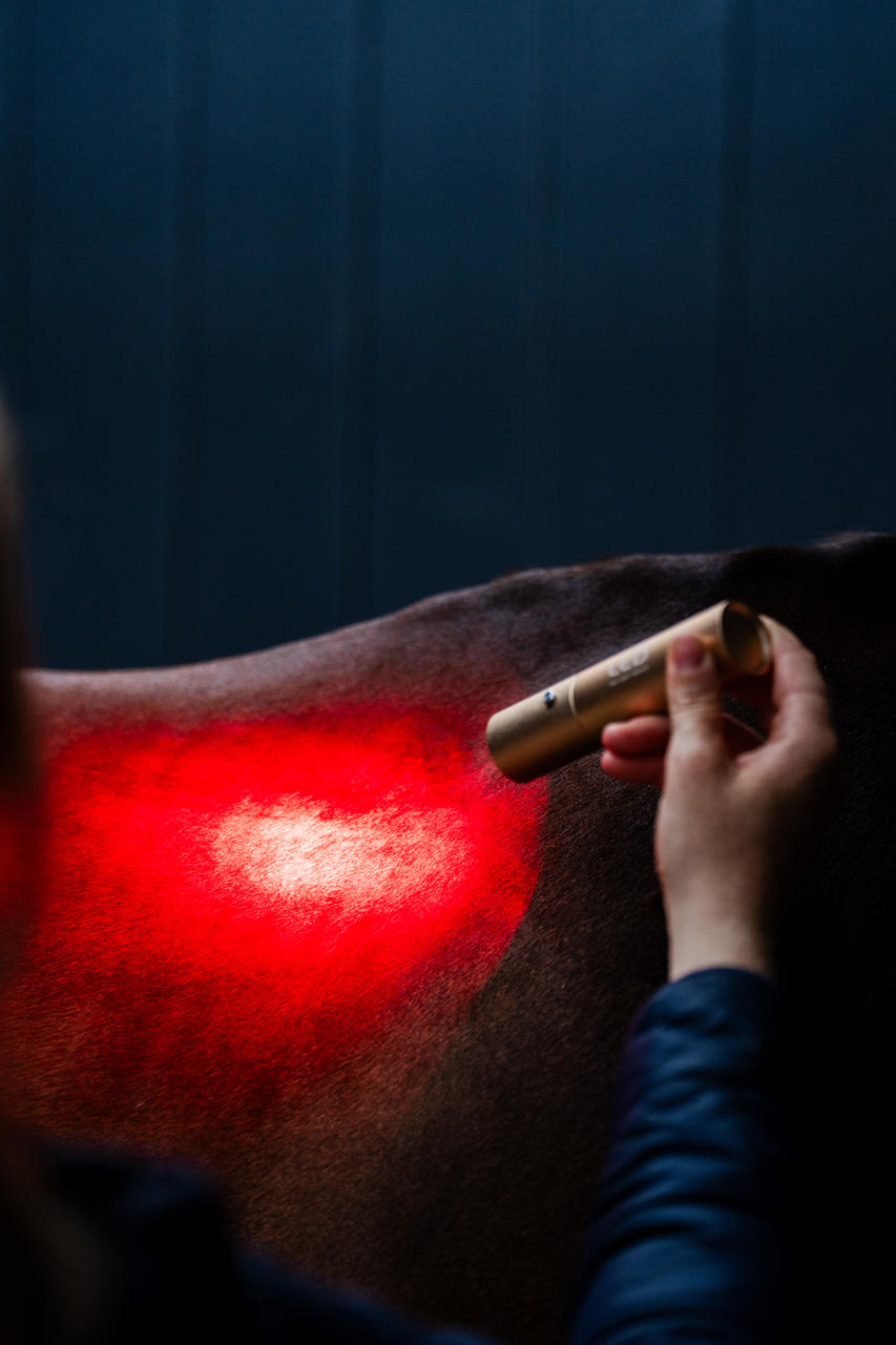 Horseware Baguette de thérapie par lumière rouge LED