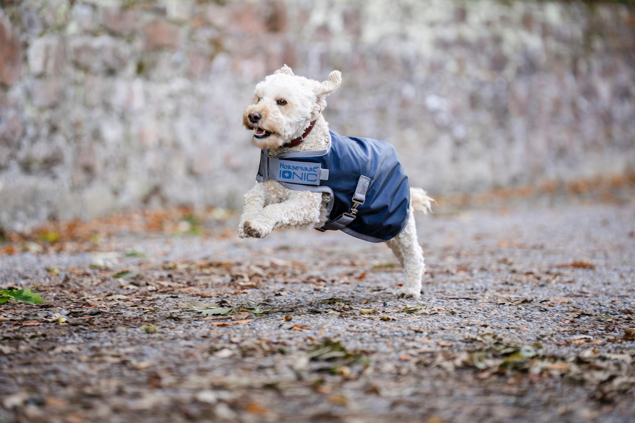 Horseware Manteau pour Chien Ionic Therapy 50g