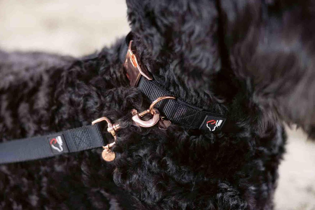 HKM Collier de chien -Anam Cara- Nylon