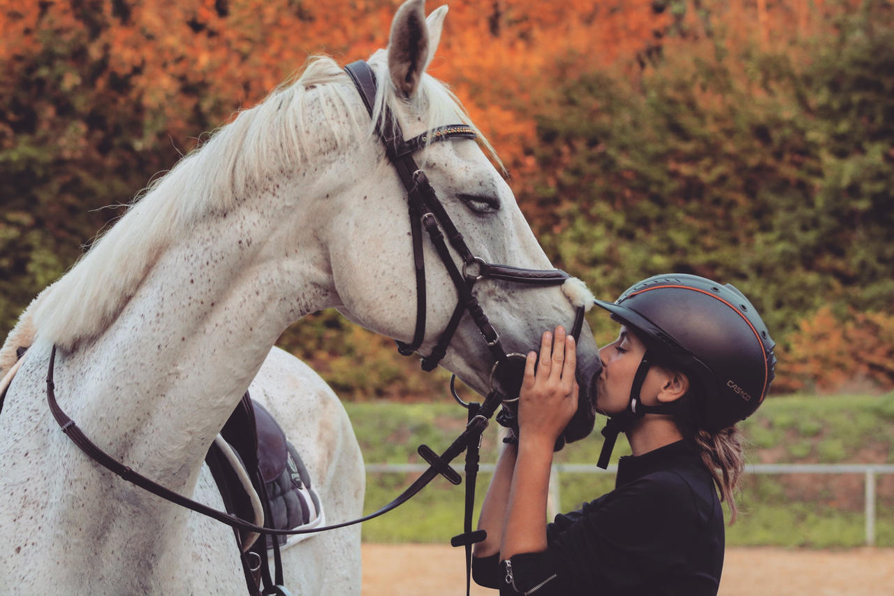 Casco Casque d'équitation Mistrall 2