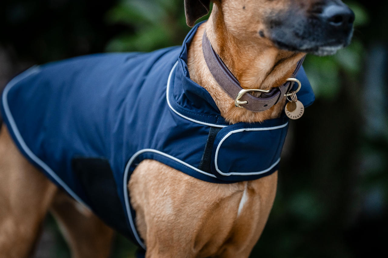 Horseware Imperméable pour Chien Signature 100g