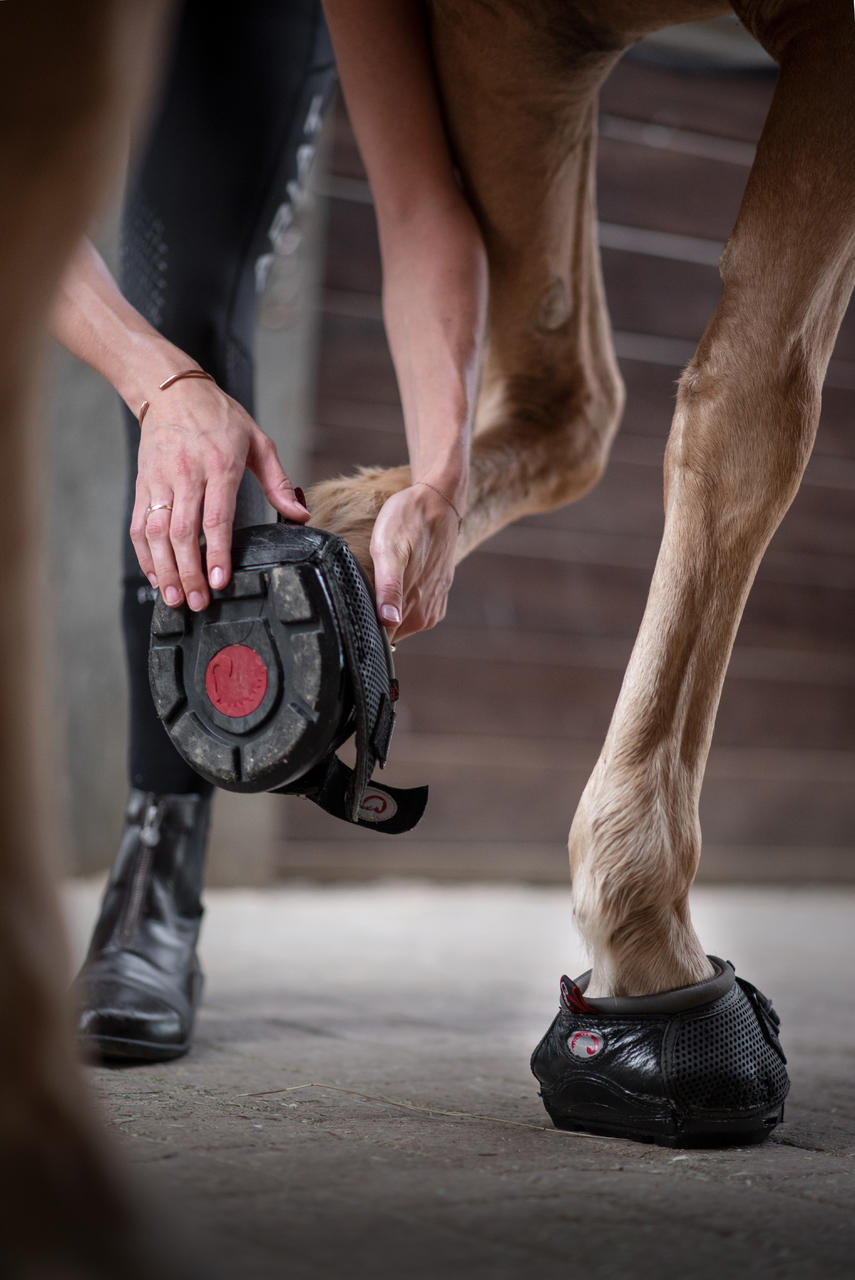 Cavallo Hipposandale modèle trek
