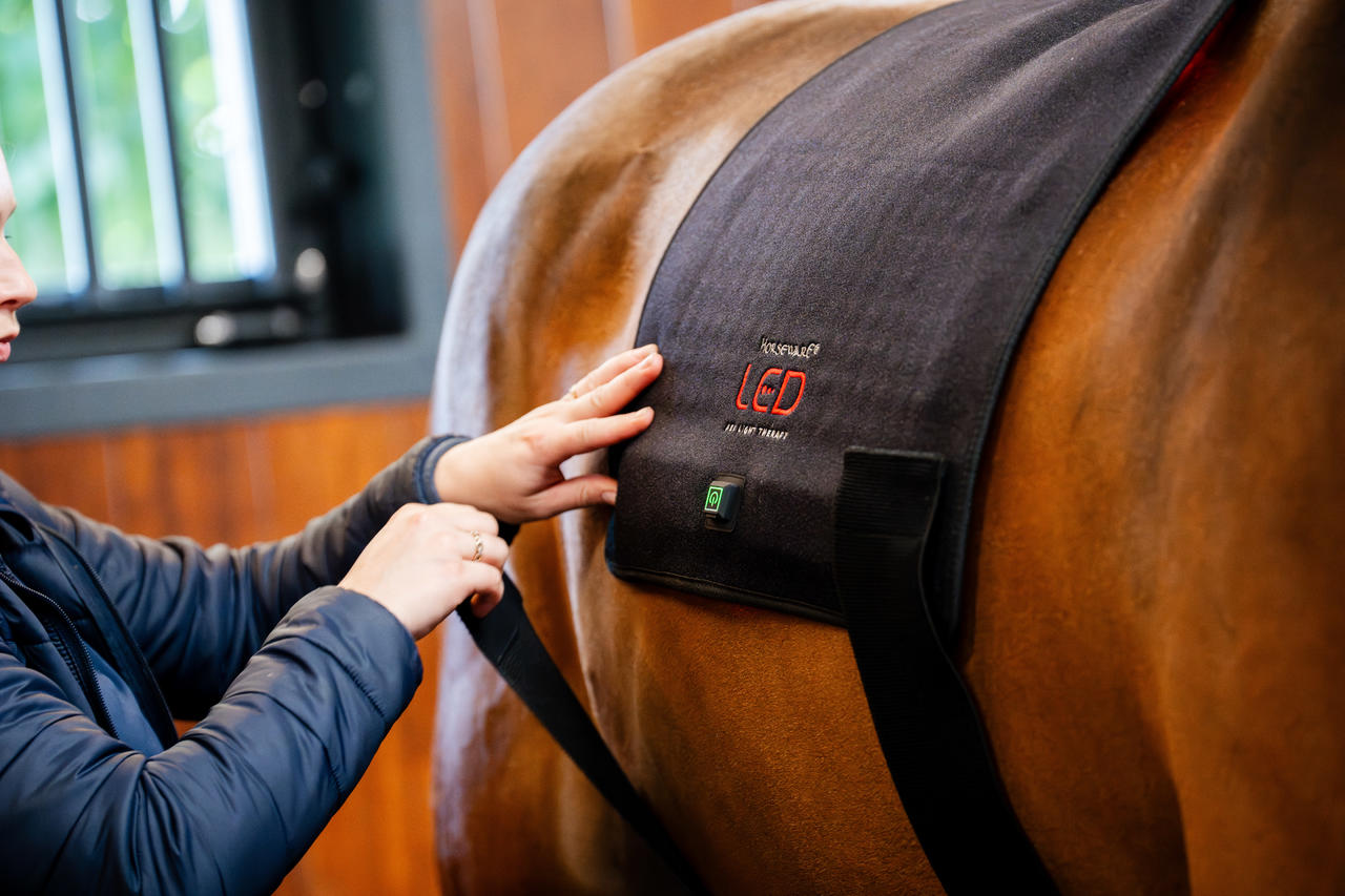 Horseware Pad de thérapie par lumière rouge LED