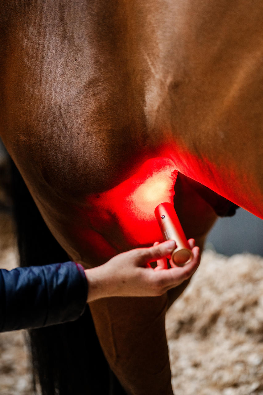 Horseware Baguette de thérapie par lumière rouge LED