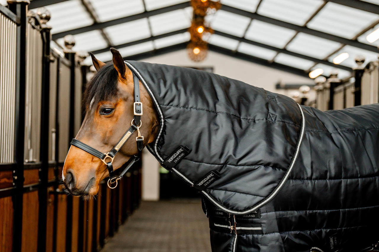 Horseware Couvre-cou Easy-Layer Stable 100g