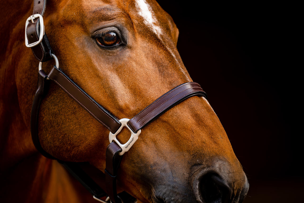 Horseware Licol Signature