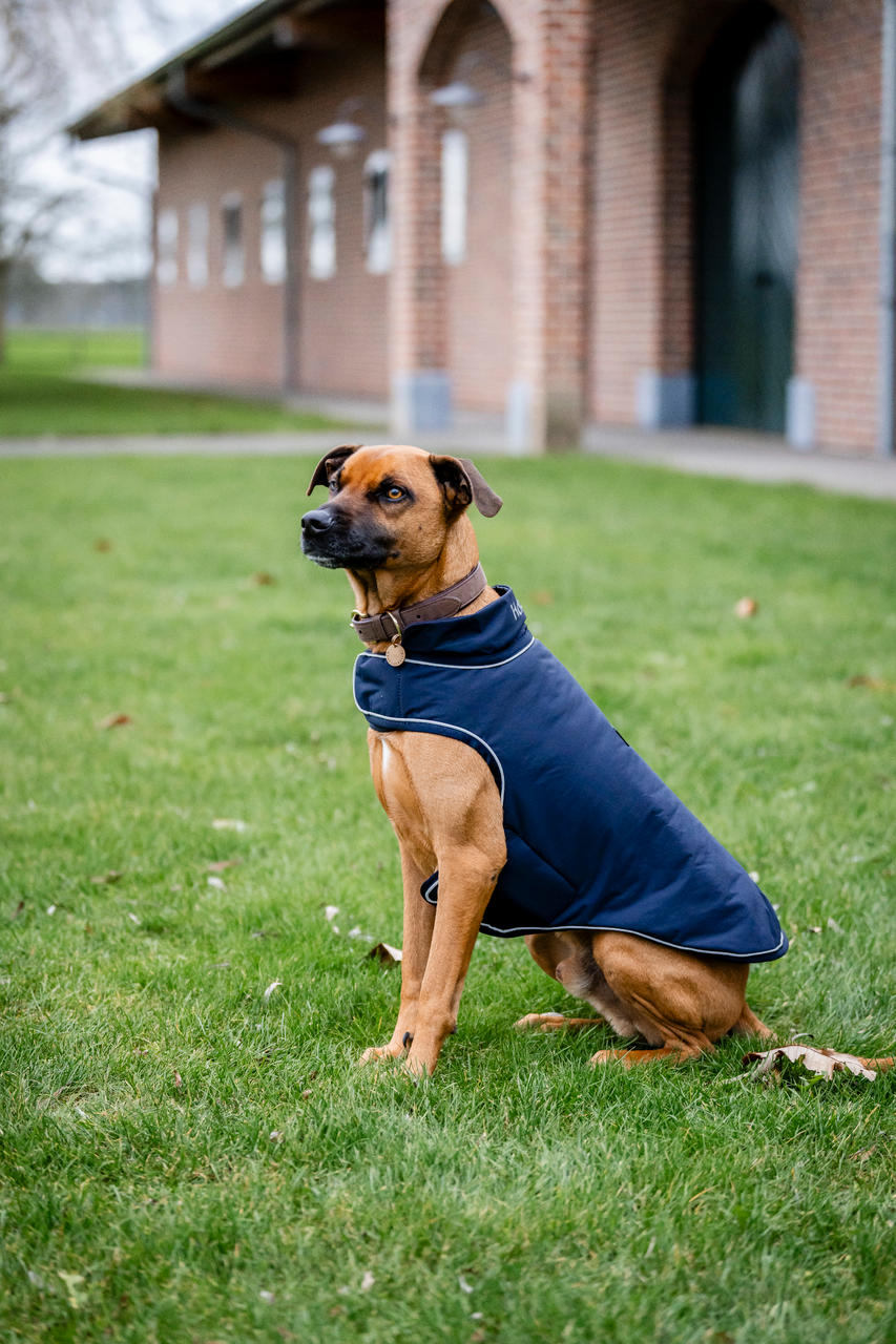 Horseware Imperméable pour Chien Signature 100g