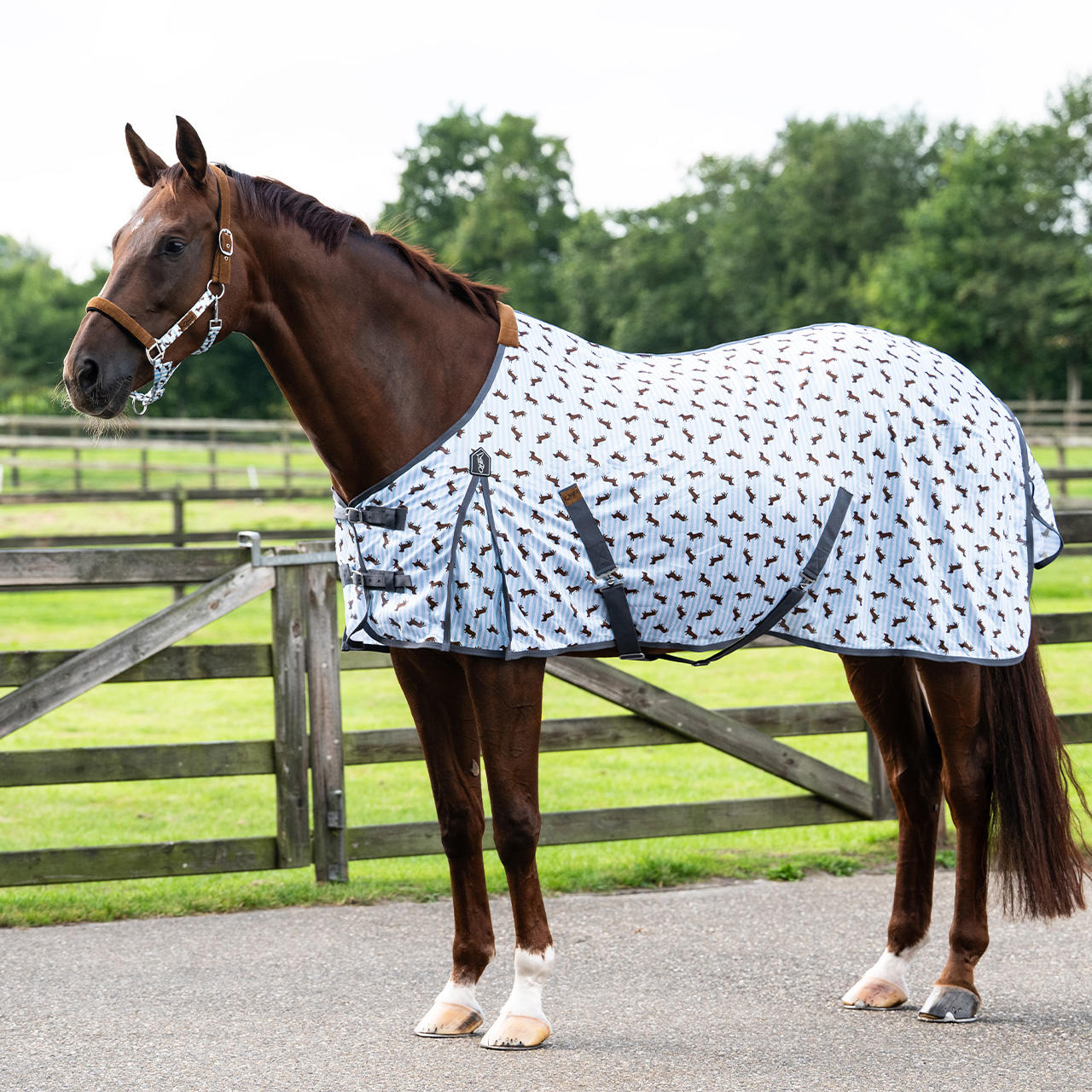 QHP Chemise anti-mouches Stable Buddy