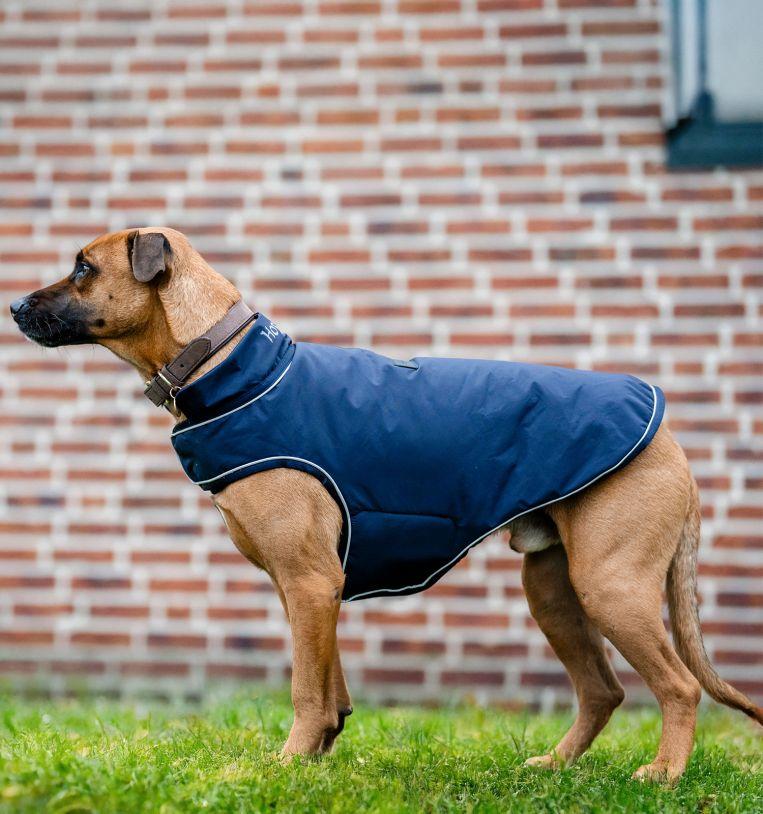 Horseware Imperméable pour Chien Signature 100g