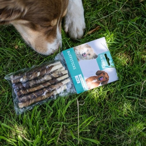 hund_leckerlies