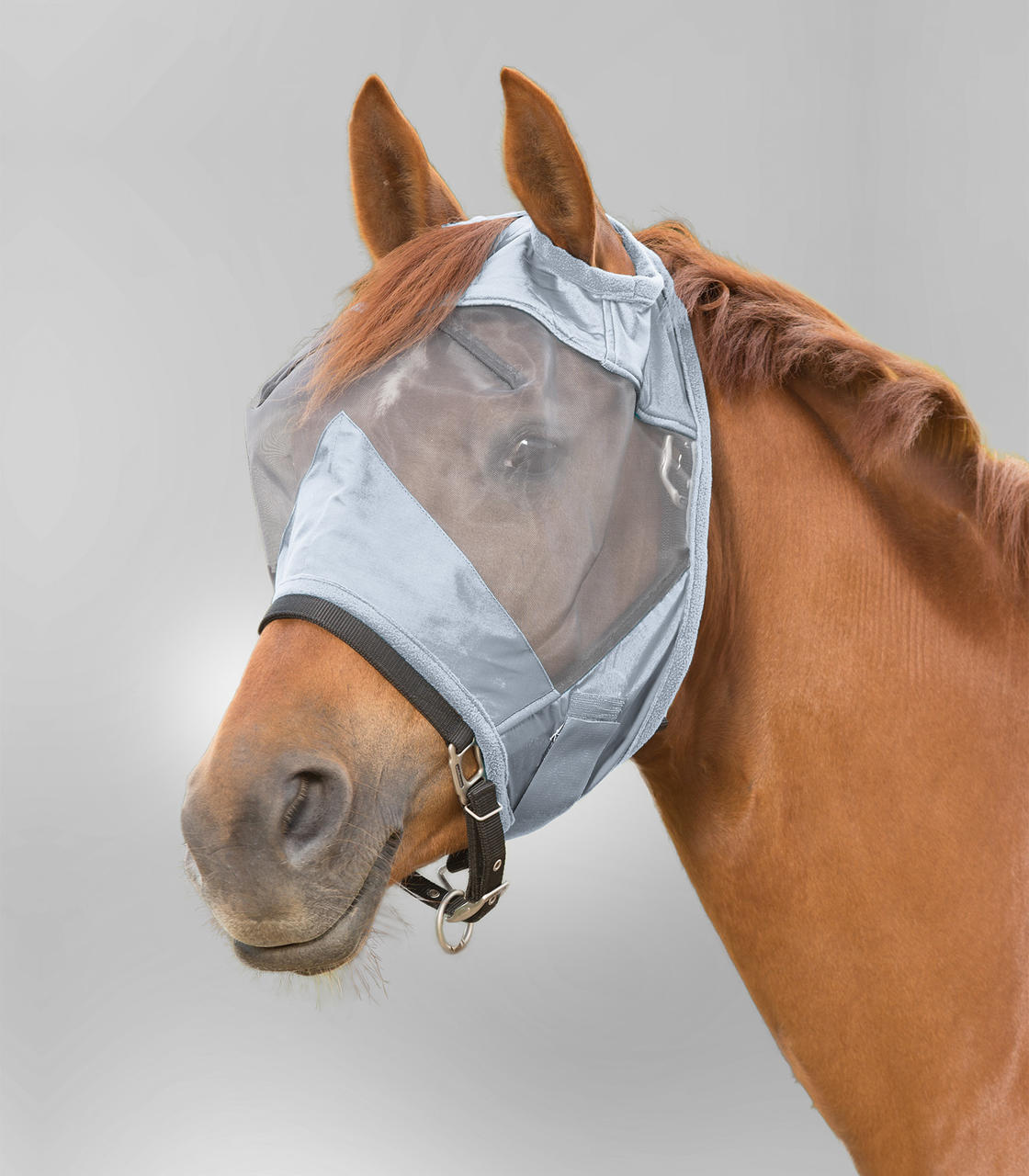 Masque Anti-Mouches Cheval Avec Protection UV Et Oreilles – Maille Respirante Bleu/Blanc – Protection Insectes Et Soleil Pour Équitation