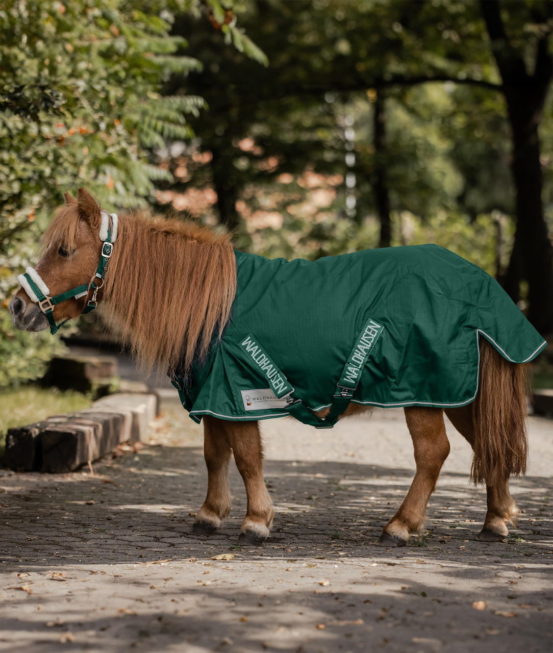 Waldhausen Chemise de Pluie Shetty Light