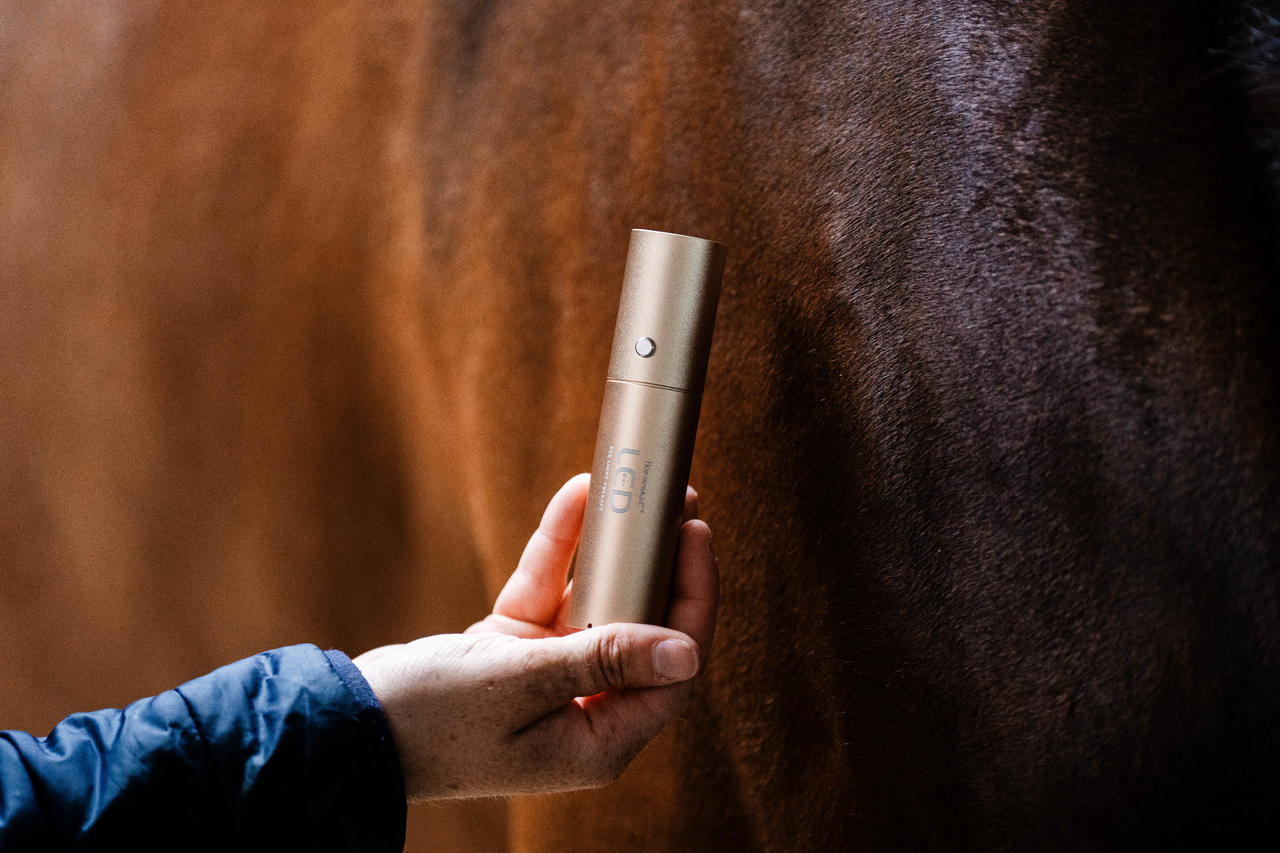 Horseware Baguette de thérapie par lumière rouge LED