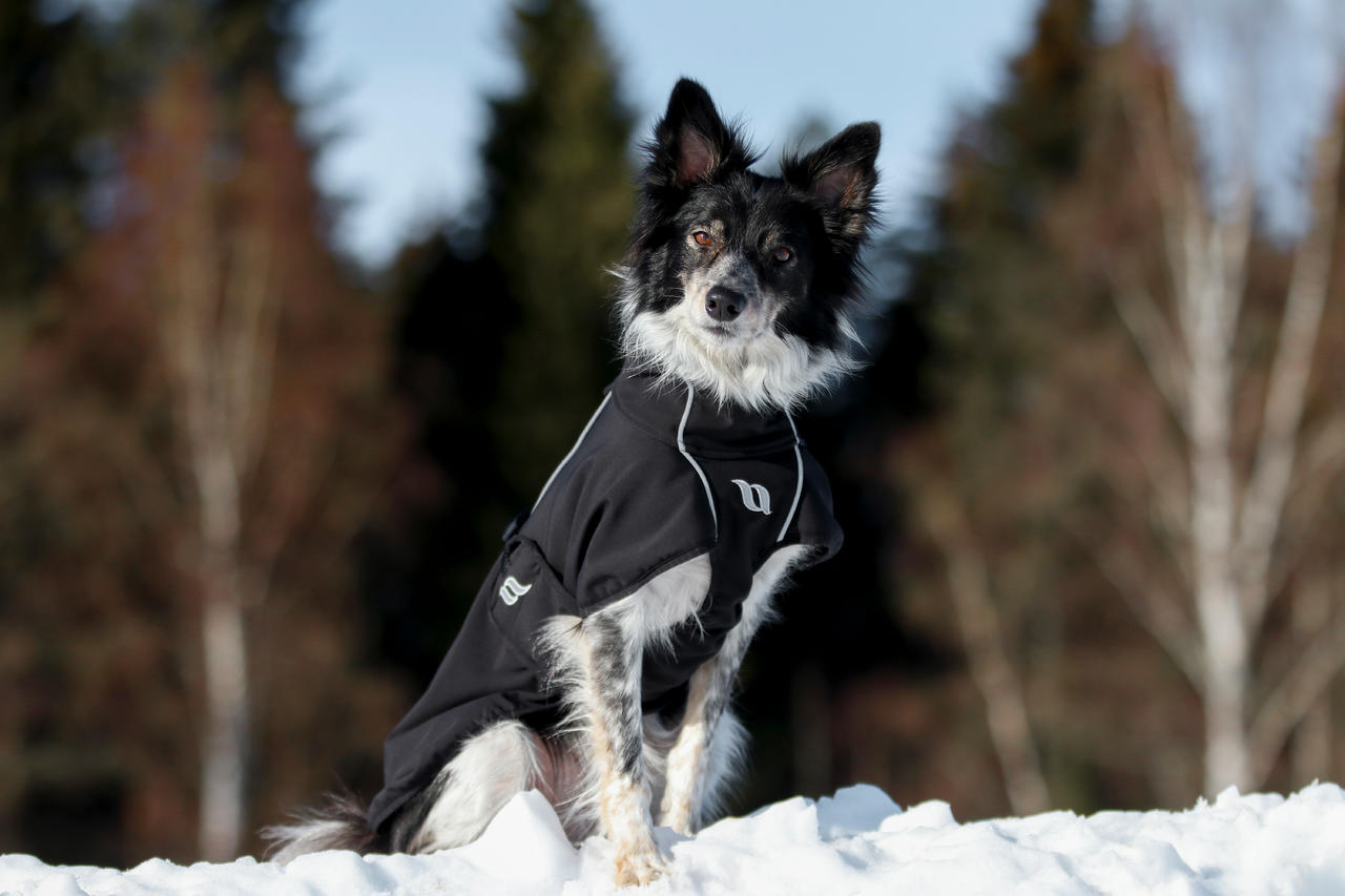 Back on Track Bark Allround Manteau pour chien