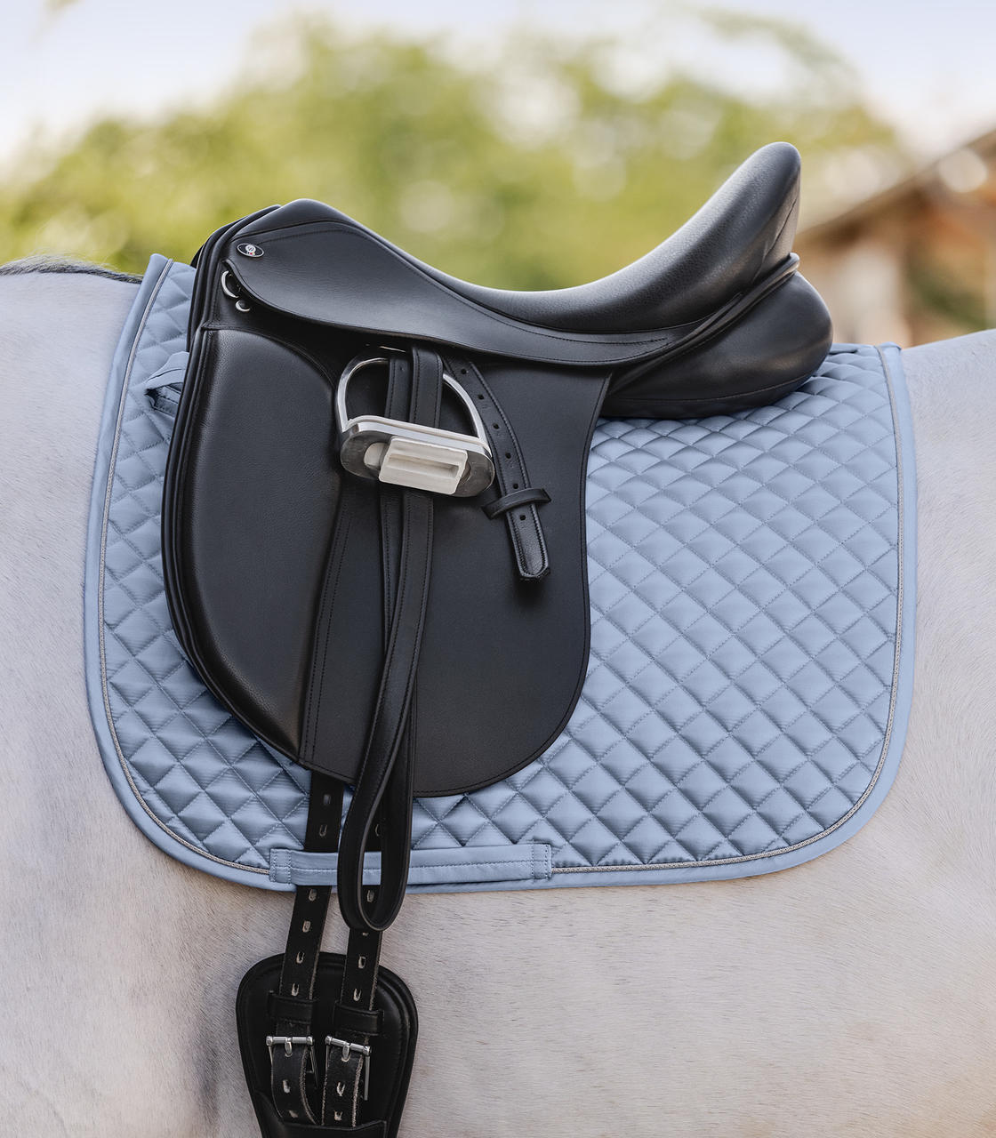 Waldhausen Chabraque Felix Glam