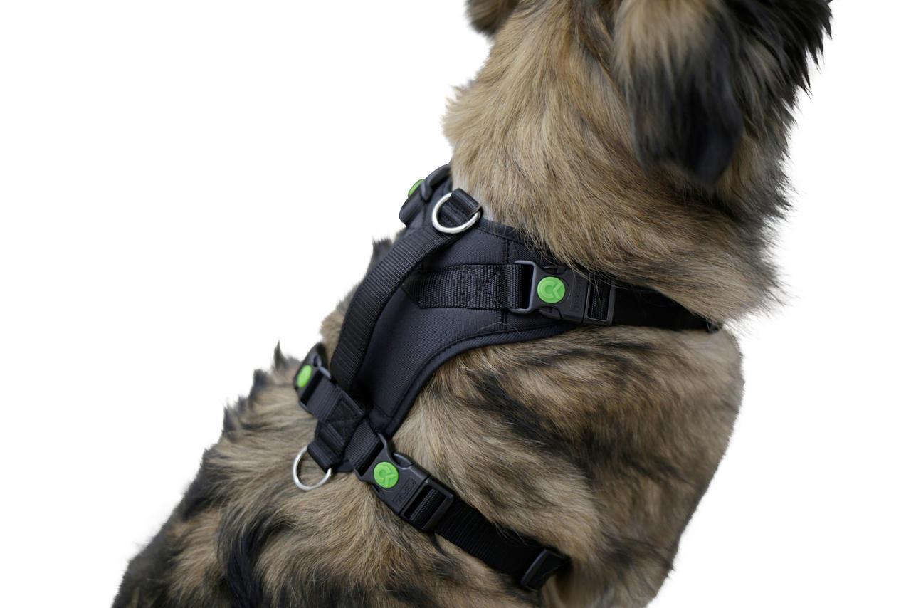 Kerbl Harnais pour chien Pulsive