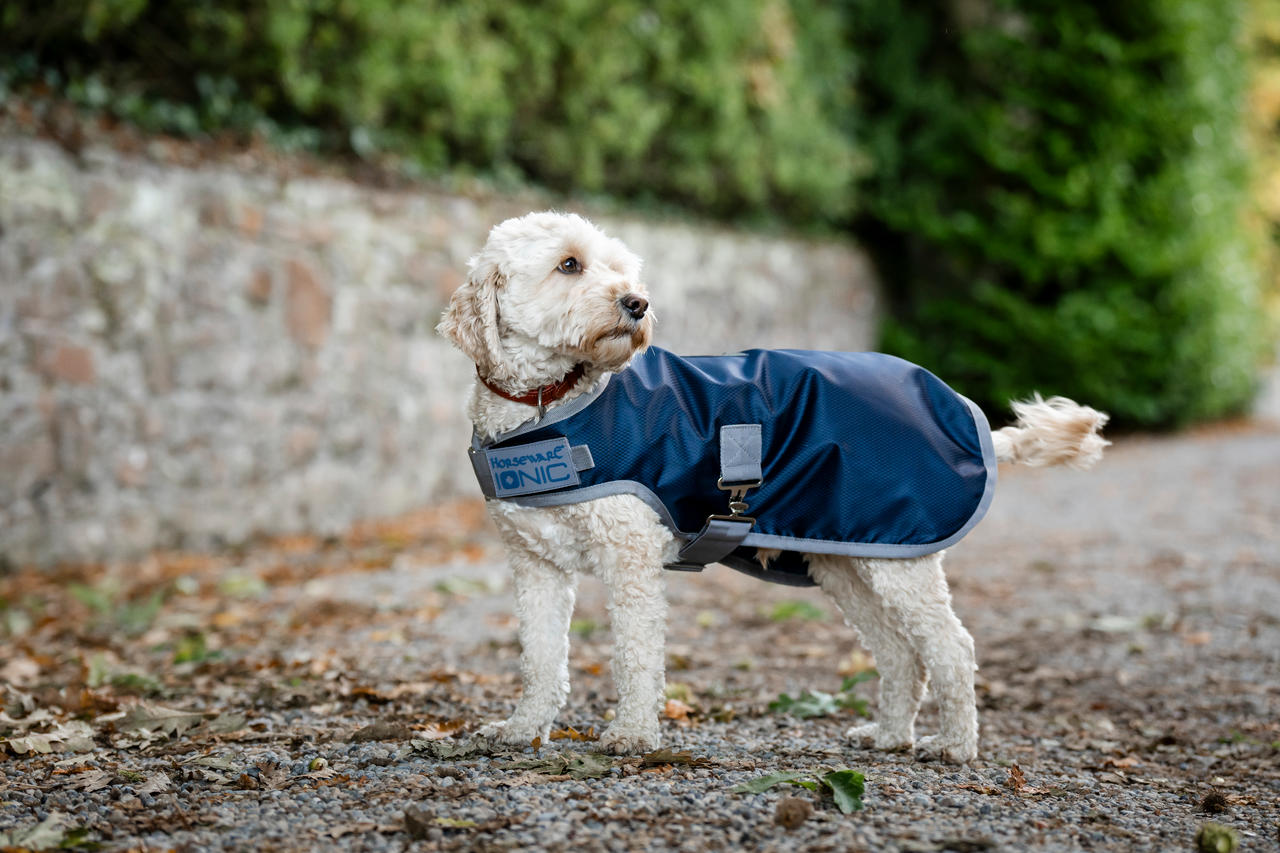 Horseware Manteau pour Chien Ionic Therapy 50g