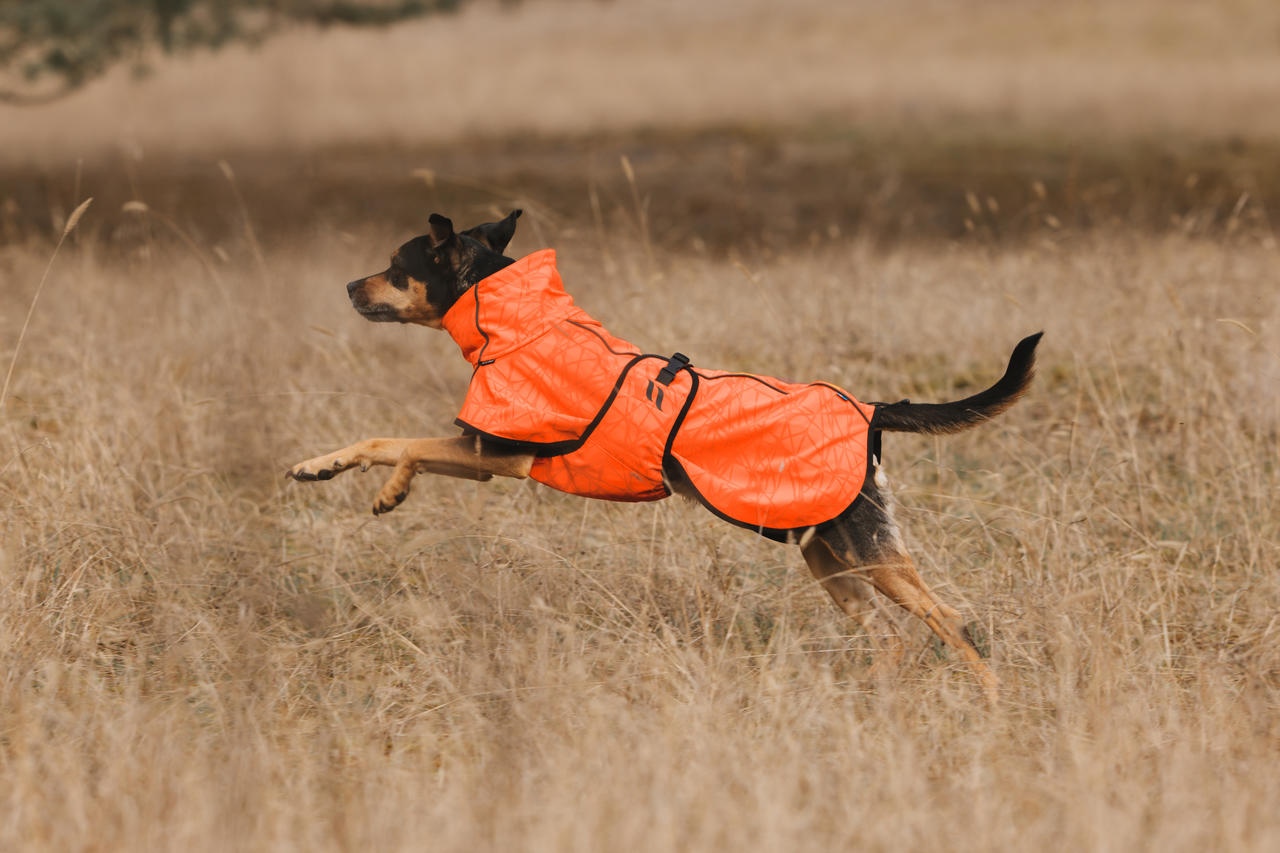 Back on Track Bark Allround Manteau pour chien