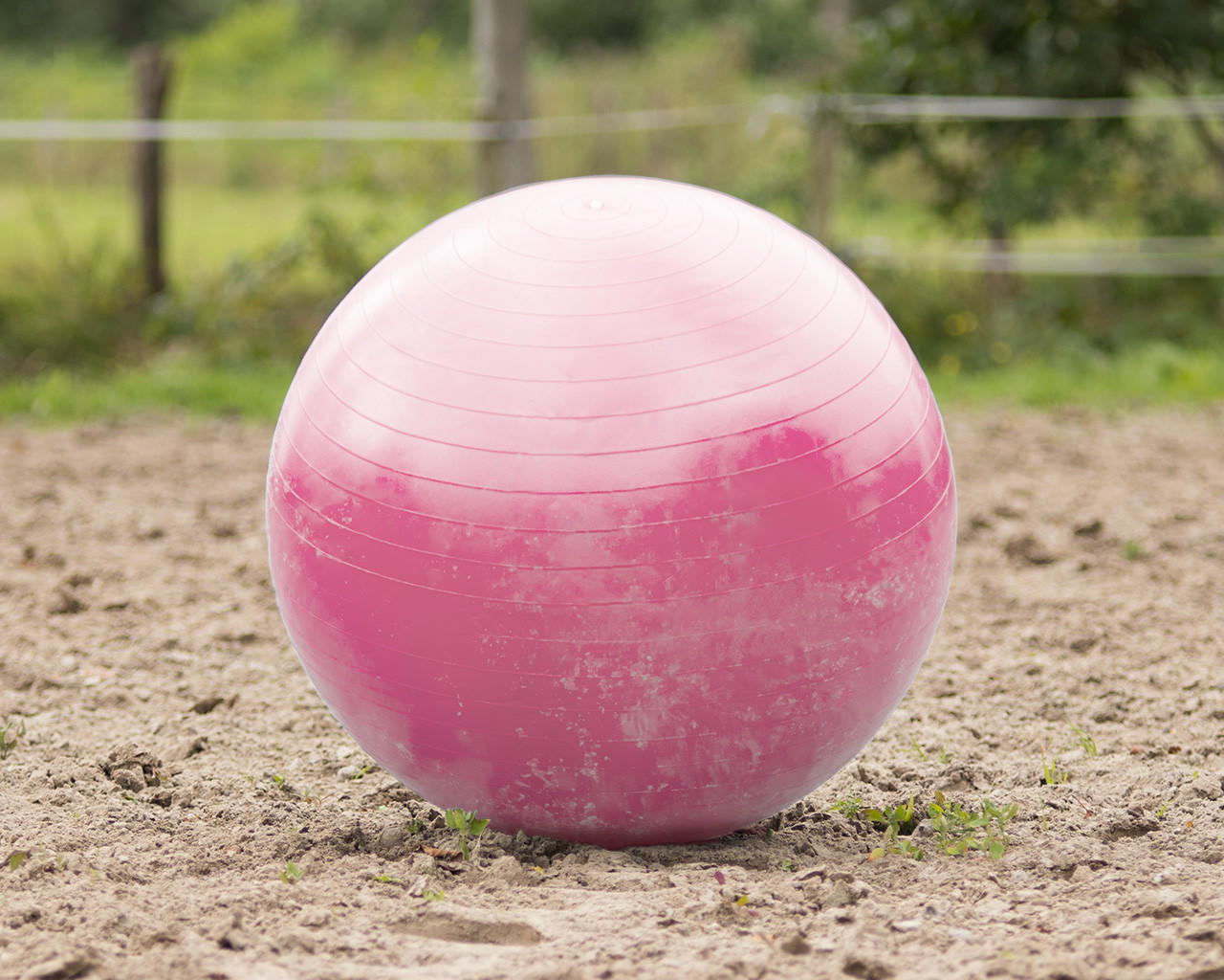 QHP Ballon de jeu pour chevaux
