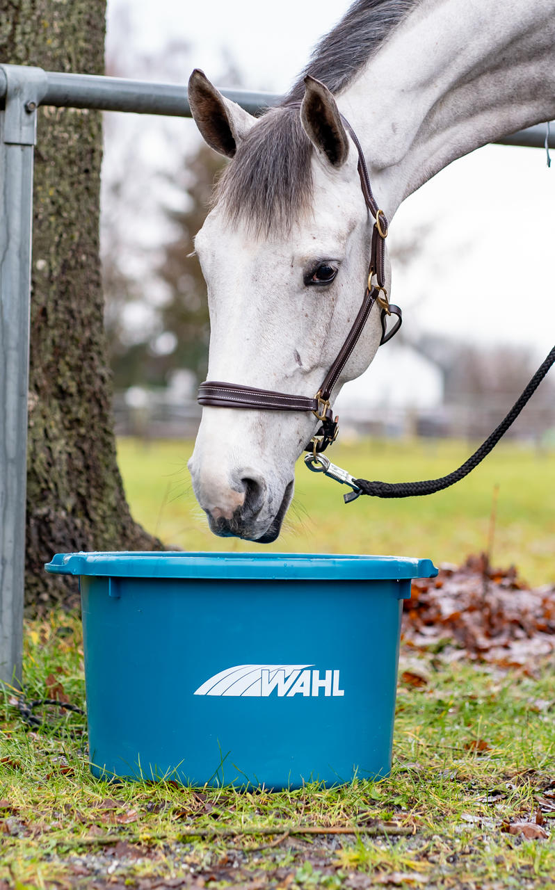WAHL-Hausmarke Abreuvoir et mangeoire – 60 l