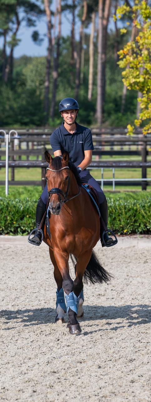 Eskadron Guêtres PRO DRESSAGE antérieures