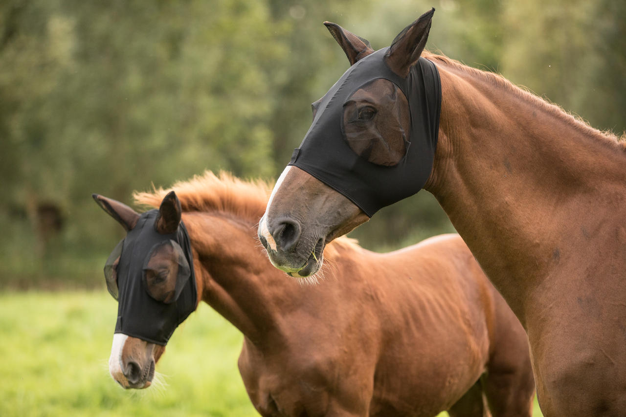 LAMI-CELL Masque anti-mouches en lycra