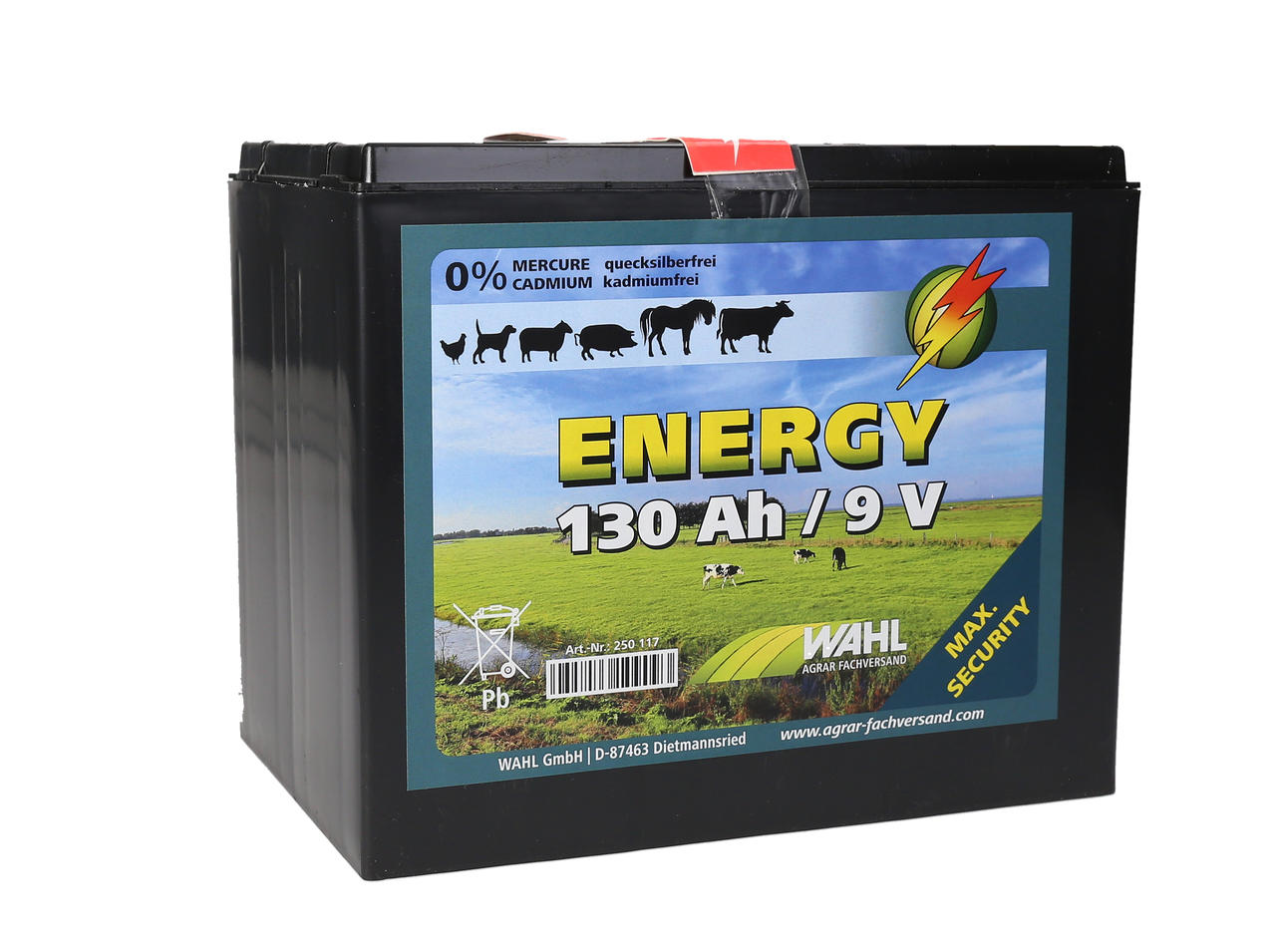 WAHL-Hausmarke Batterie pour clôture électrique 9 V - 130Ah