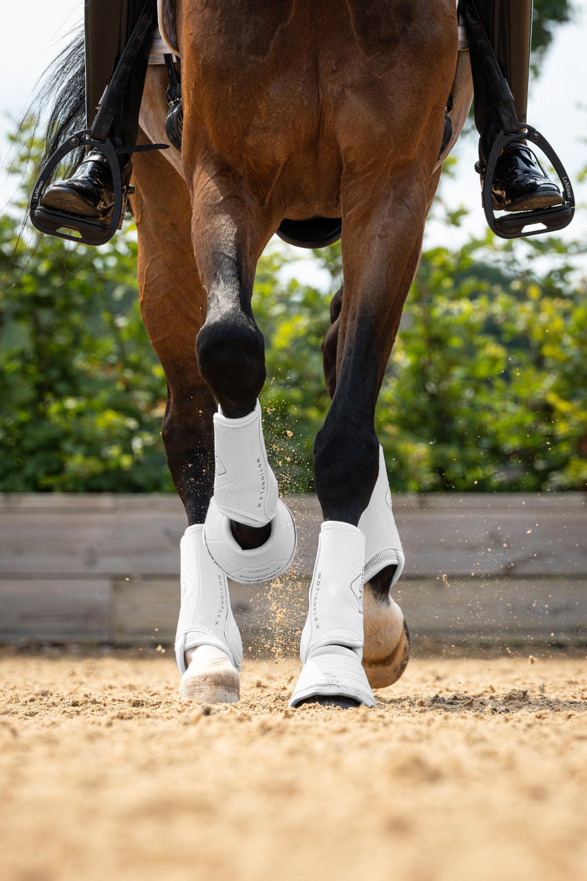 LeMieux Guêtres de dressage Motionflex
