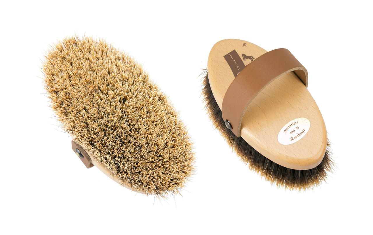 Leistner Brosse à panser Shiny 134 x 67 mm