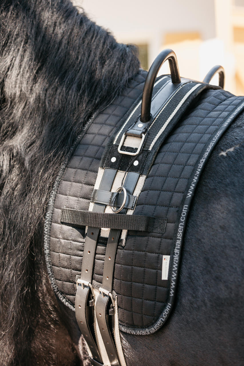 Busse Surfaix Double
