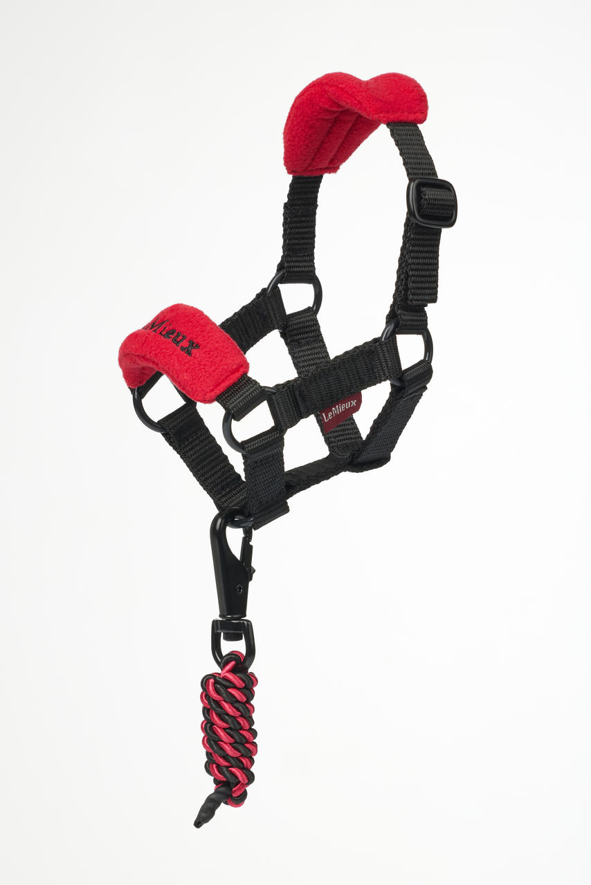 LeMieux Licol Vogue pour jouet Toy Pony