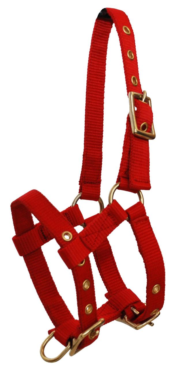 Ballon Play Ball EKKIA Pour Chevaux - Ø 17.5 Cm - Rouge - Jeu D'Écurie Et Stimulation