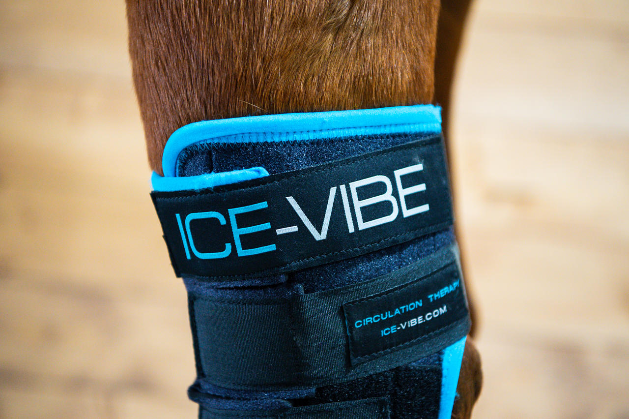 Horseware Guêtres pour Jarrets Ice-Vibe®