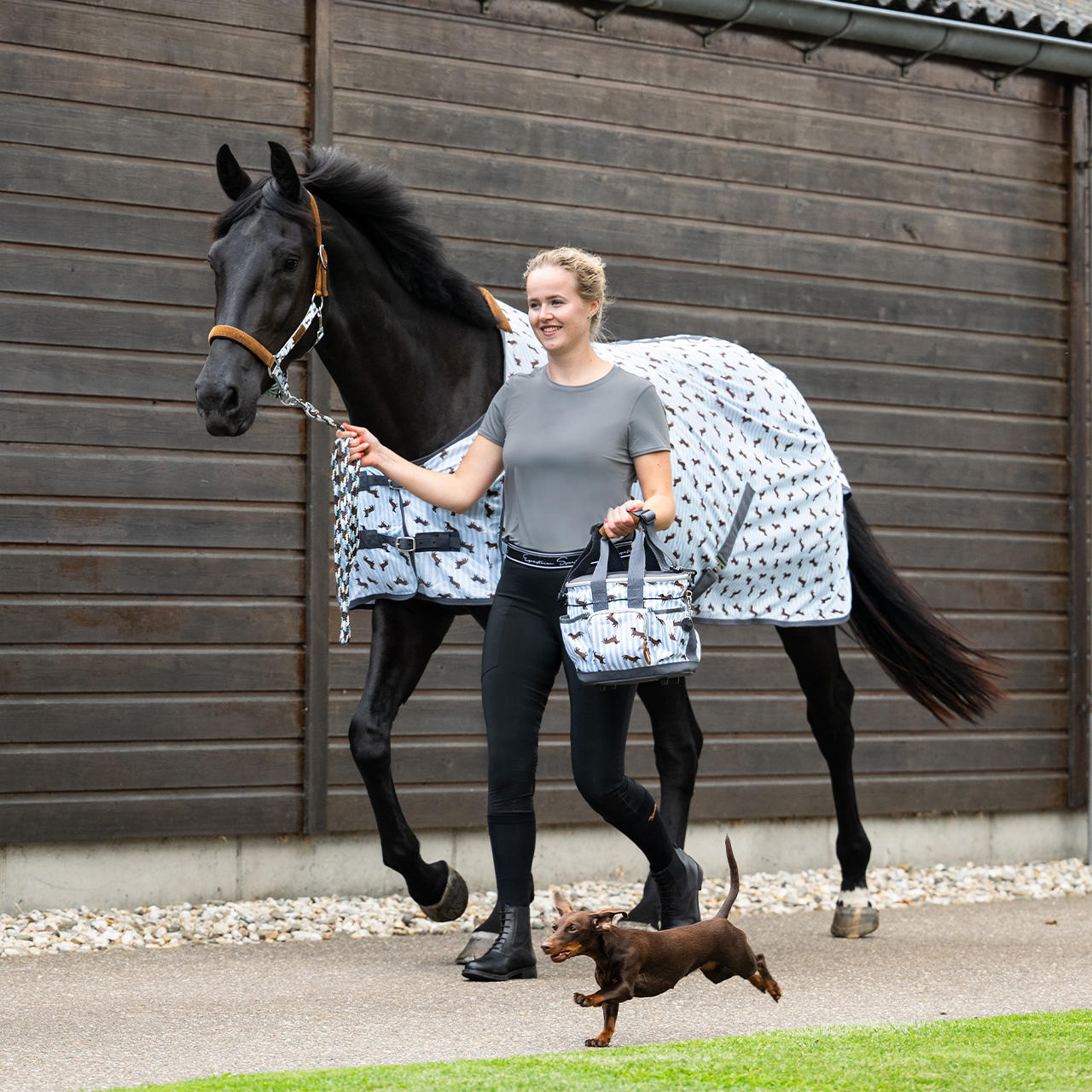 QHP Chemise anti-mouches Stable Buddy
