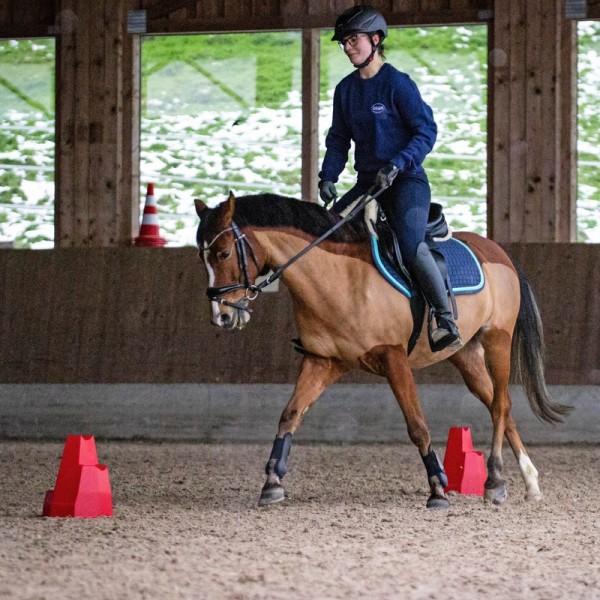 Gewa Bloc Cavaletti