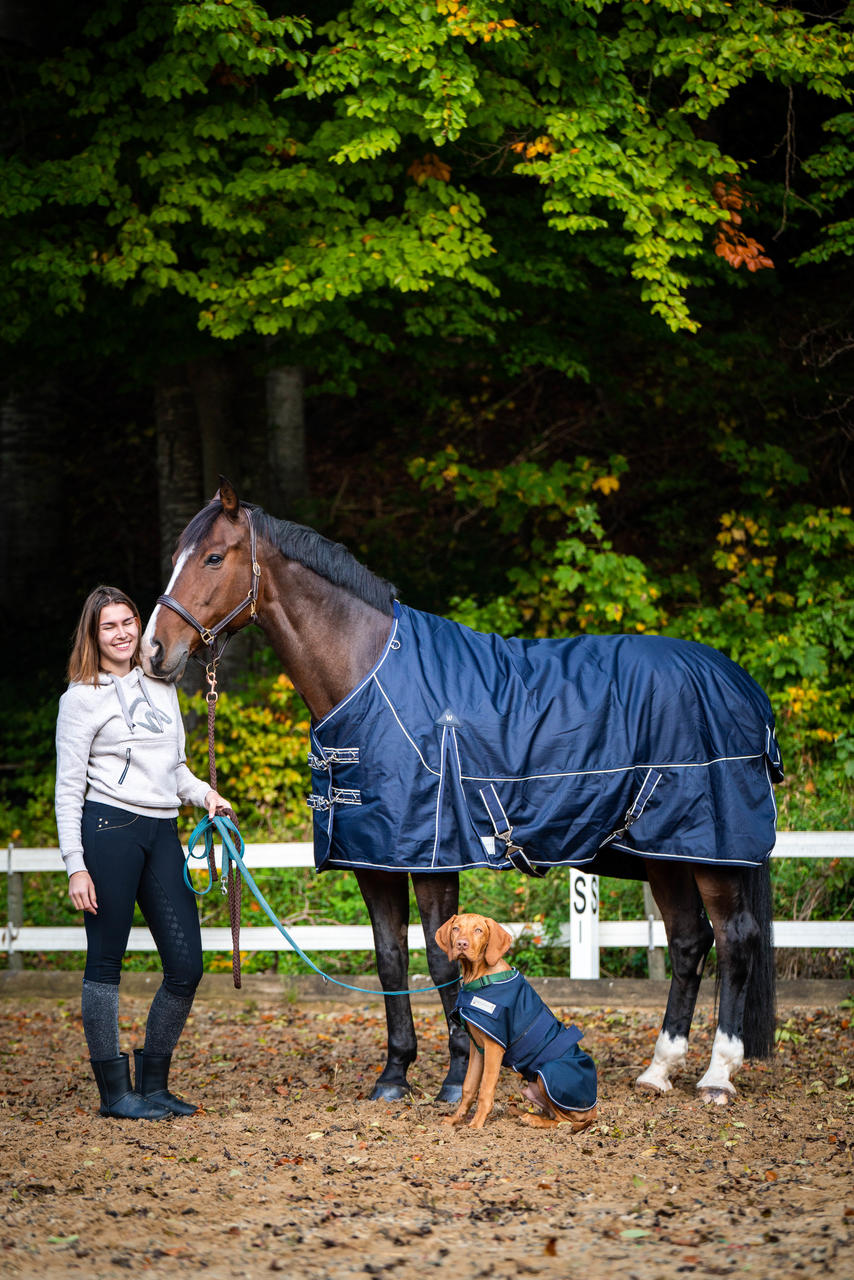 Waldhausen Couverture imperméable pour chiens