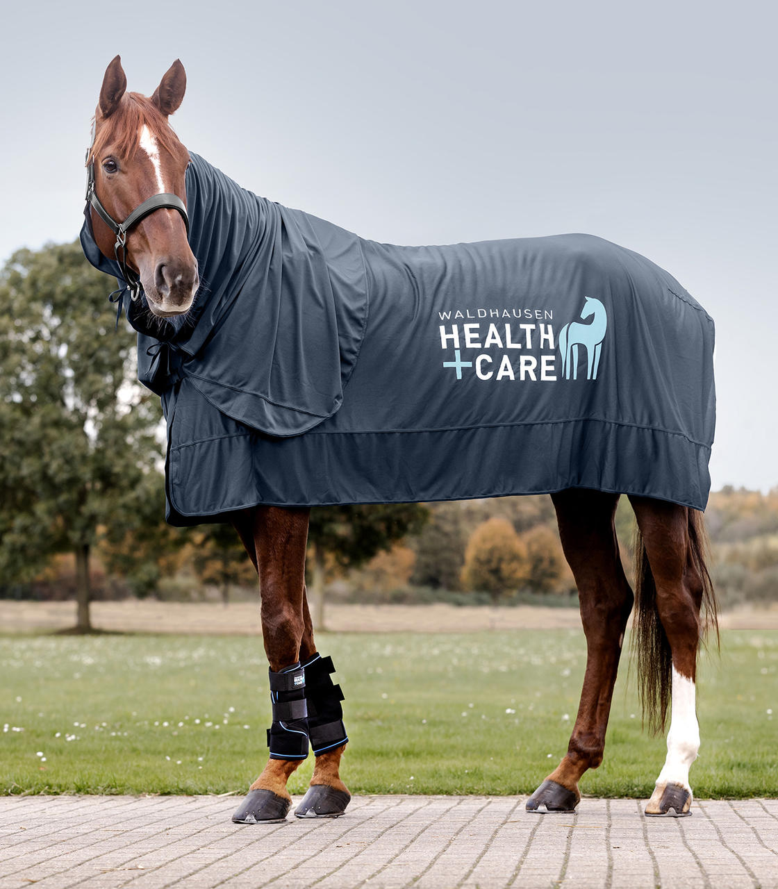 Waldhausen Health & Care Guêtres Ice-Layer, par paire