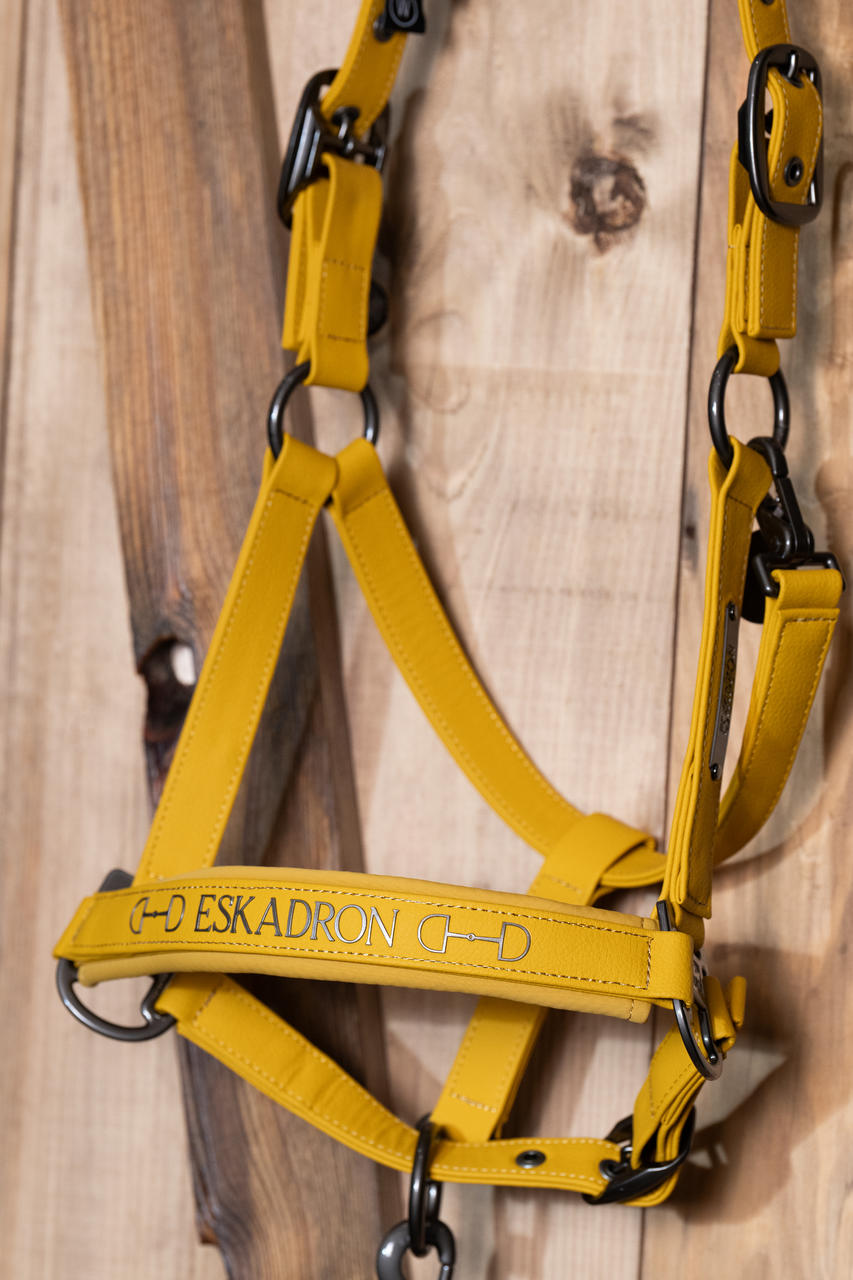 Eskadron Licol FAUX LEATHER DOUBLE PIN