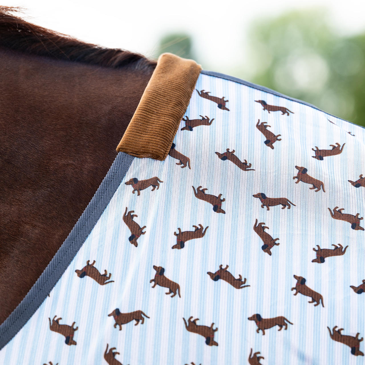 QHP Chemise anti-mouches Stable Buddy