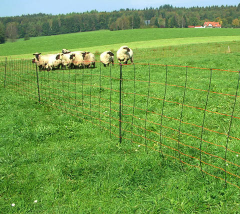AKO TitanNet- Filet combiné pour moutons, 90 cm