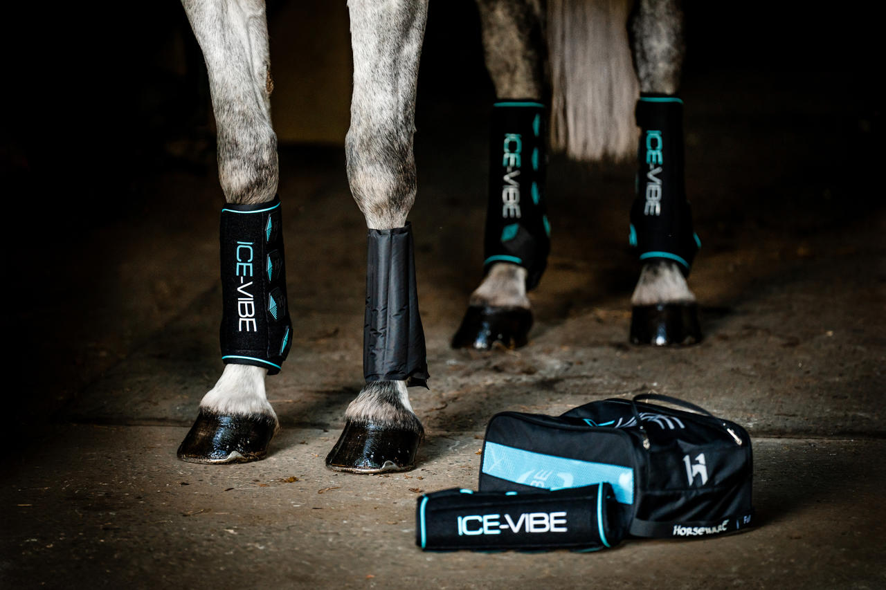 Horseware Bandages Ice-Vibe pour jambes
