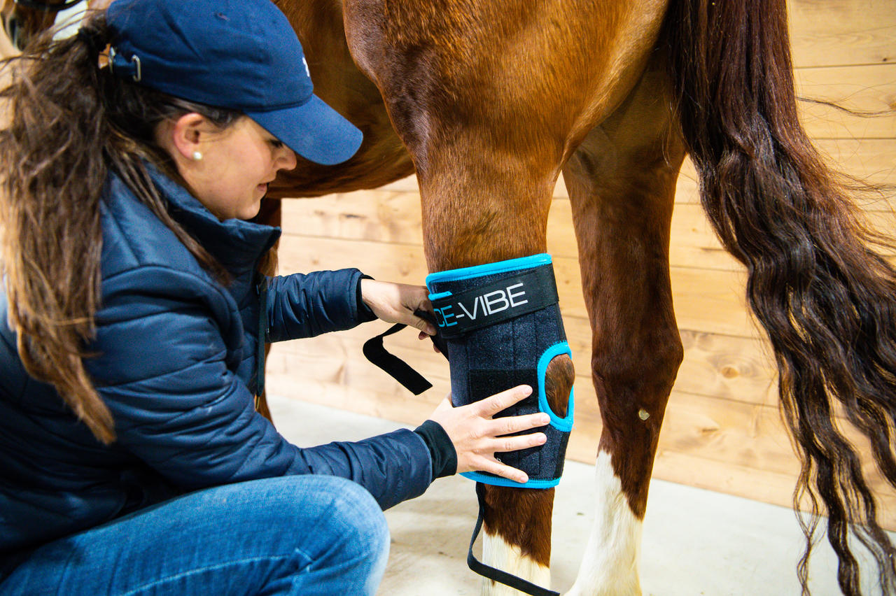 Horseware Guêtres pour Jarrets Ice-Vibe®