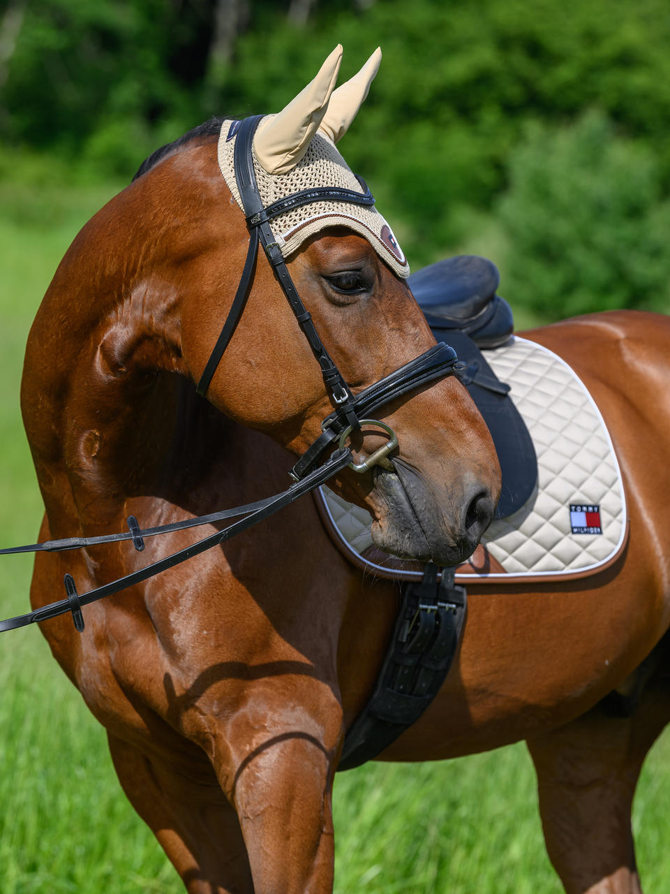 Tommy Hilfiger Tapis de selle Princeton