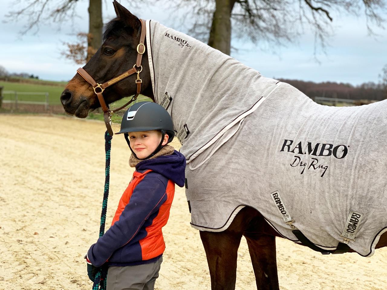 Horseware Rambo Dry Rug